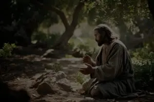 picture Jesus with Father God in dark garden, Gethsemane