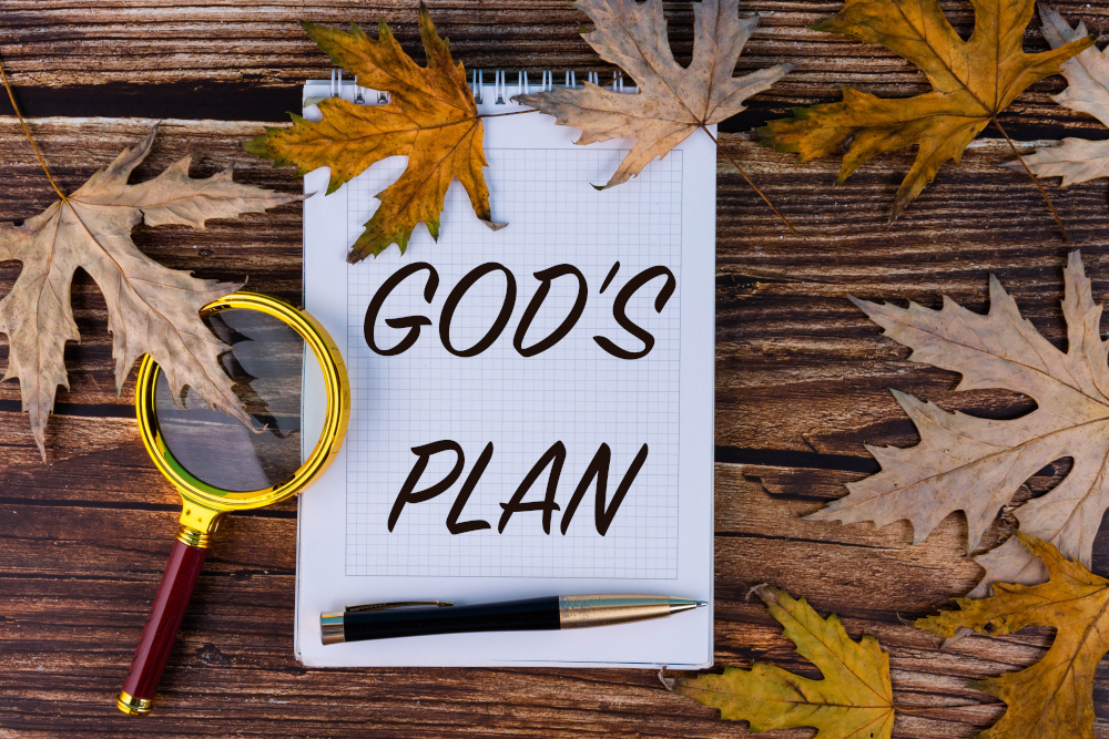 cover page of God's Plan