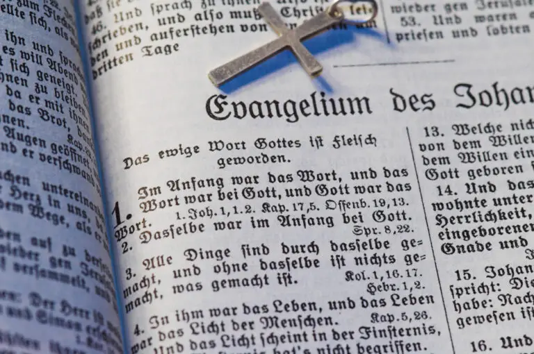 translation of Gospel of John gothic