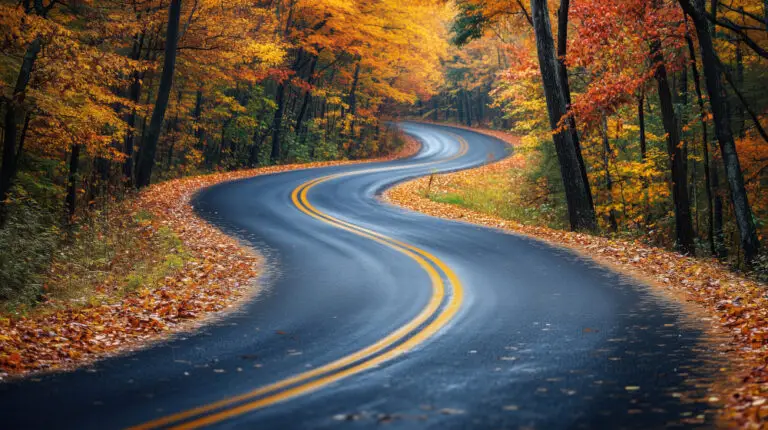 winding road through autumn woods