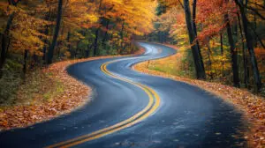 winding road through autumn woods into distance