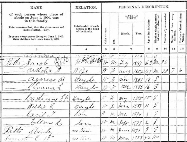 1900 U.S. Federal Census, Piney Creek, Pennsylvania